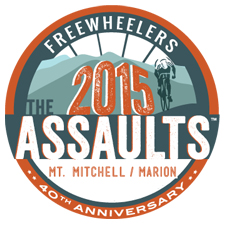 Assaults Logo